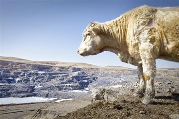 呼倫貝爾草原危機(jī)：水資源破壞嚴(yán)重