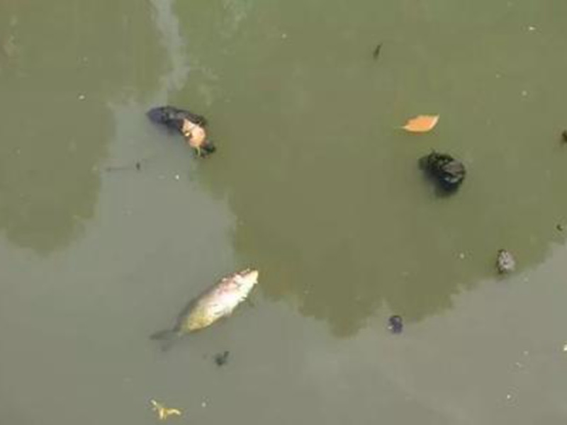 太原重點整治臭水河